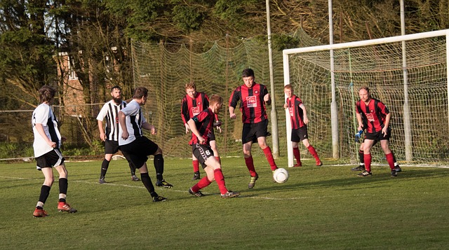 权益联动 权益联动