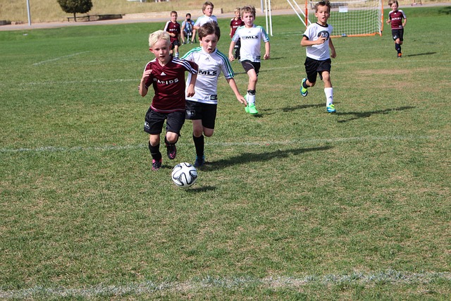 辆的运行安 辆的运行安