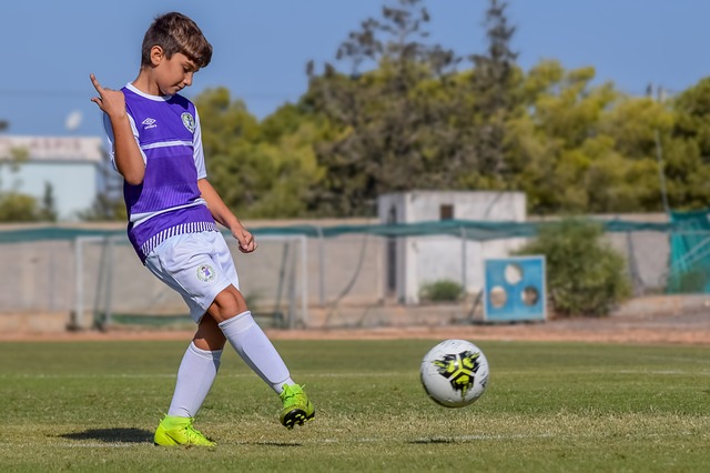 文化的重要 文化的重要