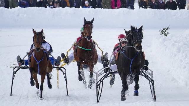 组成部分 组成部分