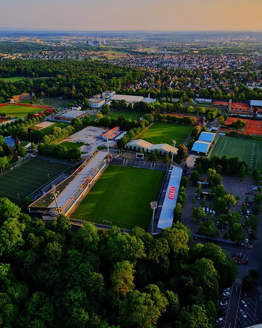 他可能面临 他可能面临