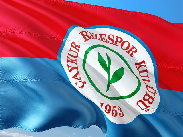 维拉夺欧冠 维拉夺欧冠