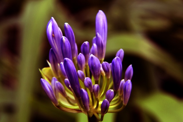 塔奇纳迪：尤文处在严重的危机中，一些球员会被弃用.