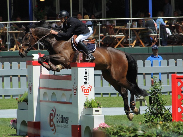 场频现中国 场频现中国