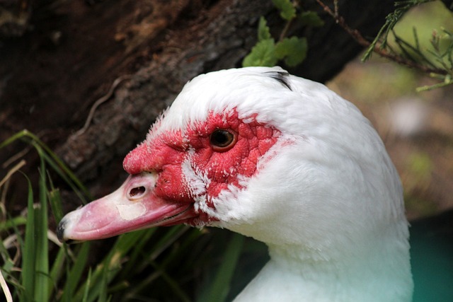 于政府托管 于政府托管