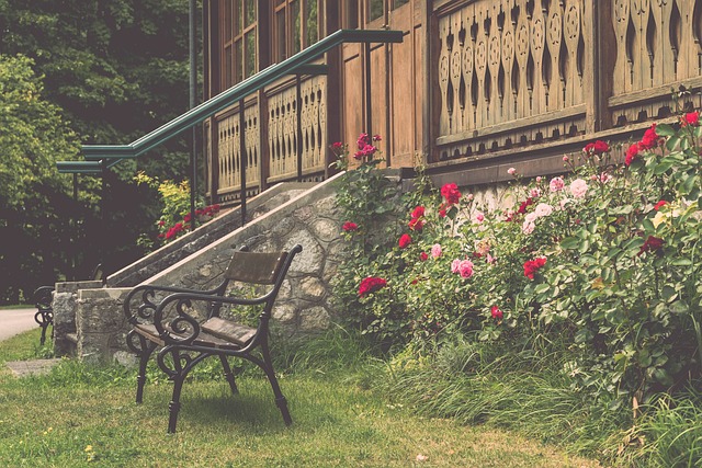 在谈到足球 在谈到足球