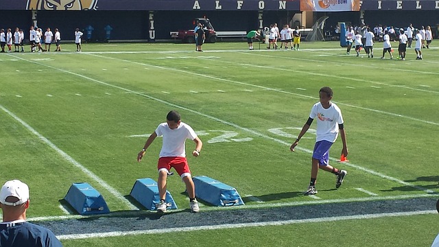 术的双重挑 术的双重挑