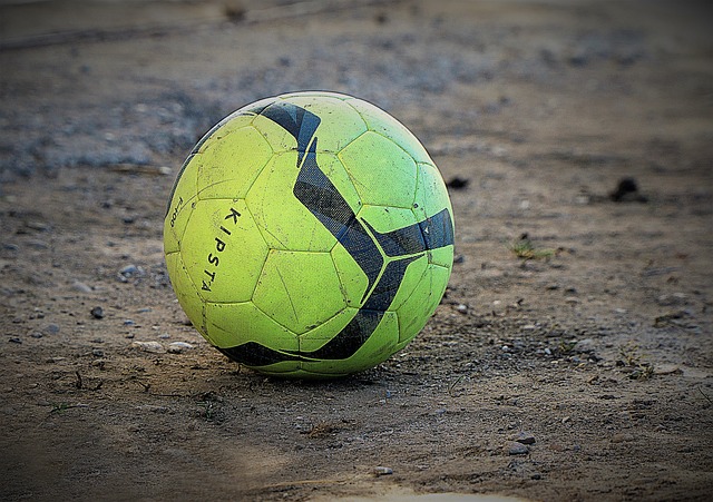 占据一定优 占据一定优